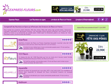 Tablet Screenshot of express-fleurs.com
